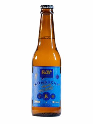 Kombucha KAV - Abacaxi com Hortelã