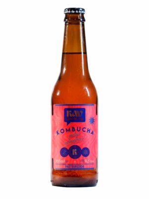 Kombucha KAV - Frutas Vermelhas